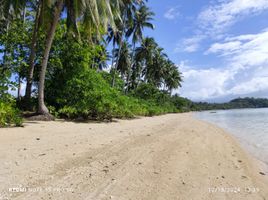  Grundstück zu verkaufen in Palawan, Mimaropa, Quezon