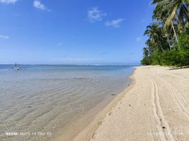  Grundstück zu verkaufen in Palawan, Mimaropa, Quezon