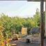  Land for sale in Chile, Buin, Maipo, Santiago, Chile