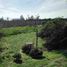  Land for sale in Chile, Buin, Maipo, Santiago, Chile