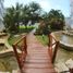  Apartment for rent in Cozumel, Quintana Roo, Cozumel, Quintana Roo