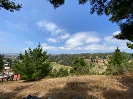  Land for sale in Chile, Pichilemu, Cardenal Caro, Libertador General Bernardo Ohiggins, Chile