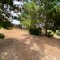  Land for sale in Chile, Pichilemu, Cardenal Caro, Libertador General Bernardo Ohiggins, Chile
