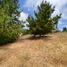  Land for sale in Chile, Pichilemu, Cardenal Caro, Libertador General Bernardo Ohiggins, Chile