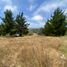  Land for sale in Chile, Pichilemu, Cardenal Caro, Libertador General Bernardo Ohiggins, Chile
