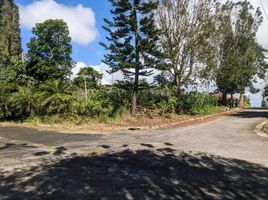  Land for sale in Cavite, Calabarzon, Tagaytay City, Cavite