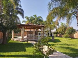 5 Schlafzimmer Haus zu verkaufen in Zapopan, Jalisco, Zapopan, Jalisco