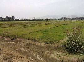  Terreno (Parcela) en venta en Cañete, Lima, Mala, Cañete