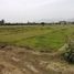  Land for sale in Mala, Lima, Mala, Cañete