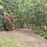  Casa en venta en Tumbaco, Pichincha, Tumbaco