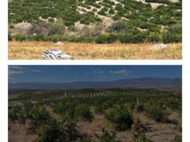  Land for sale in Calvillo, Aguascalientes, Calvillo