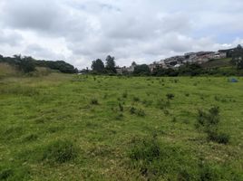  Land for sale in Pifo, Quito, Pifo