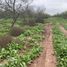  Terreno (Parcela) en venta en Chile, Ovalle, Limarí, Coquimbo, Chile