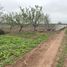  Terreno (Parcela) en venta en Chile, Ovalle, Limarí, Coquimbo, Chile