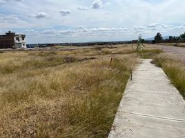 Land for sale in Silao, Guanajuato, Silao