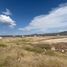  Land for sale in Silao, Guanajuato, Silao
