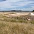  Land for sale in Silao, Guanajuato, Silao