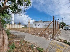  Terreno (Parcela) en alquiler en Cozumel, Quintana Roo, Cozumel, Quintana Roo