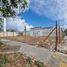  Land for rent in Cozumel, Quintana Roo, Cozumel, Quintana Roo