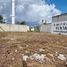  Terreno (Parcela) en alquiler en Cozumel, Quintana Roo, Cozumel, Quintana Roo
