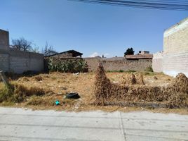  Grundstück zu verkaufen in Toluca, Mexico, Toluca