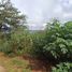  Land for sale in Baguio City, Cordillera, Baguio City