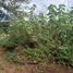  Land for sale in Baguio City, Cordillera, Baguio City