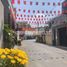 5 Phòng ngủ Nhà mặt tiền for rent in Thảo Điền, TP.Hồ Chí Minh, Thảo Điền