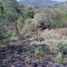  Grundstück zu verkaufen in Jose Azueta, Guerrero, Jose Azueta, Guerrero