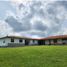 14 Habitación Villa en venta en Filandia, Quindio, Filandia