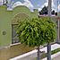 Villa 2 chambre à vendre à Irapuato, Guanajuato, Irapuato