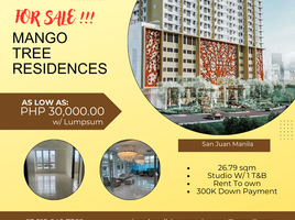 Studio Wohnung zu verkaufen im Mango Tree Residences, San Juan City