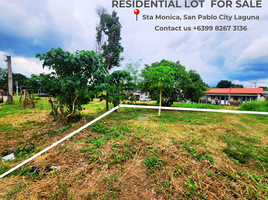  Land for sale in San Pablo City, Laguna, San Pablo City