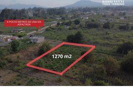  Land for sale in Huachi Grande, Ambato, Huachi Grande