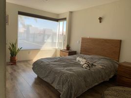 Villa 3 chambre à vendre à Toluca, Mexico, Toluca