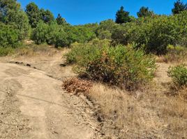  Terreno (Parcela) en venta en Chile, Angol, Malleco, Araucanía, Chile