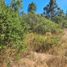  Terreno (Parcela) en venta en Chile, Angol, Malleco, Araucanía, Chile