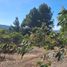  Terreno (Parcela) en venta en Chile, Angol, Malleco, Araucanía, Chile