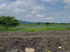  Land for sale in Daule, Guayas, Los Lojas Enrique Baquerizo Moreno, Daule