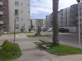 3 Habitación Apartamento en venta en Colegio Alonso de Ercilla, La Serena, Coquimbo