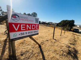  Land for sale in Maule, Pelluhue, Cauquenes, Maule