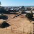  Land for sale in Maule, Pelluhue, Cauquenes, Maule