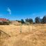  Land for sale in Maule, Pelluhue, Cauquenes, Maule