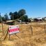  Land for sale in Maule, Pelluhue, Cauquenes, Maule