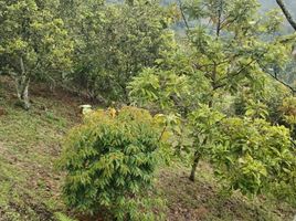 3 Habitación Villa en venta en Sasaima, Cundinamarca, Sasaima