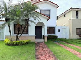 3 Bedroom House for sale in Samborondon, Guayas, Samborondon, Samborondon