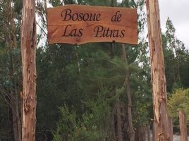  Terreno (Parcela) en venta en Biobío, Cabrero, Biobío, Biobío