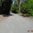  Terreno (Parcela) en venta en Biobío, Cabrero, Biobío, Biobío