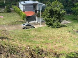  Terreno (Parcela) en venta en Tulua, Valle Del Cauca, Tulua