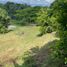  Land for sale in Valle Del Cauca, Tulua, Valle Del Cauca